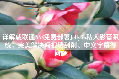 详解威联通NAS免费部署Jellyfin私人影音系统,完美解决海报墙刮削、中文字幕等问题